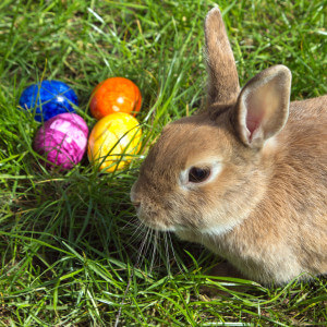 Termine zu Ostern